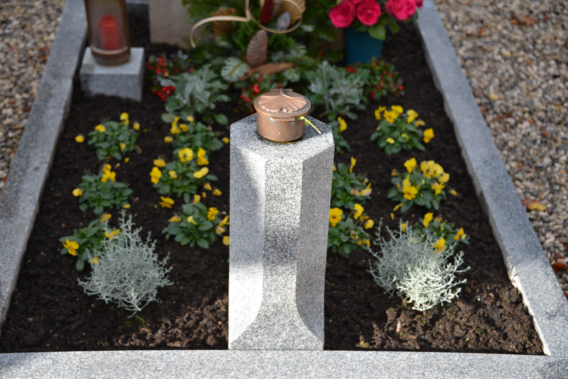 DSC_7050-web