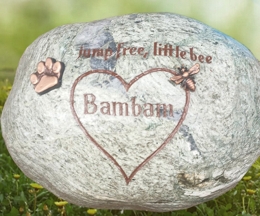 bambam-ftoto