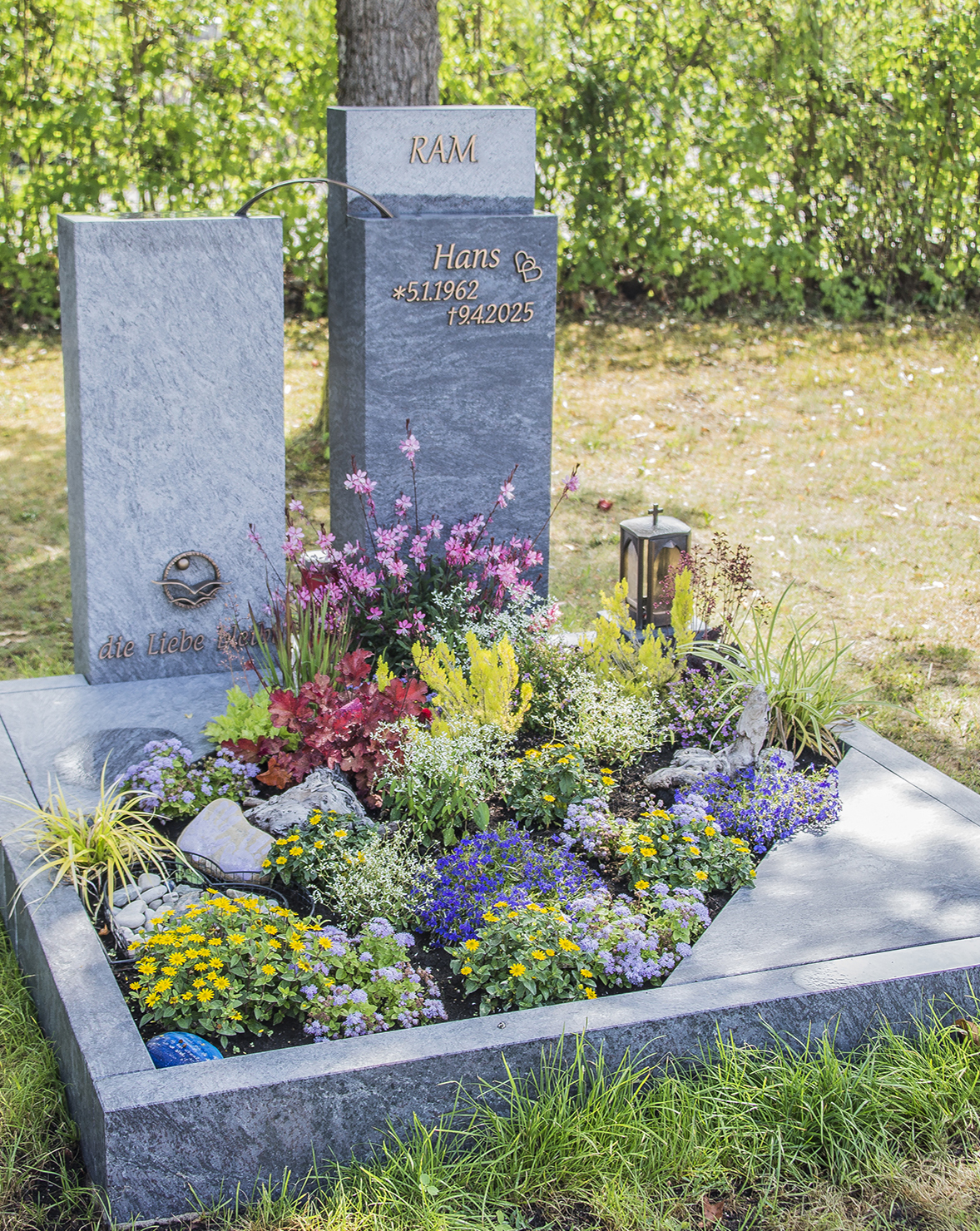 DSC_7792-web
